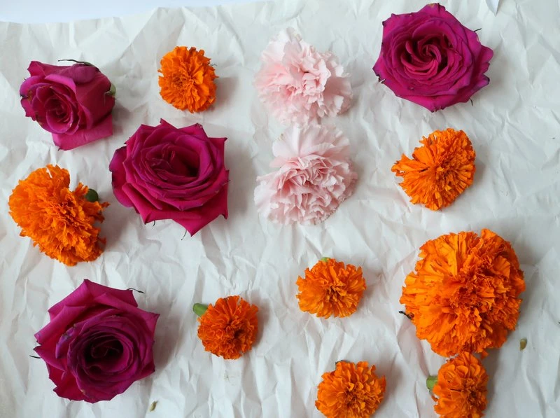 Floral - Supplies for Flower Drying and Arranging